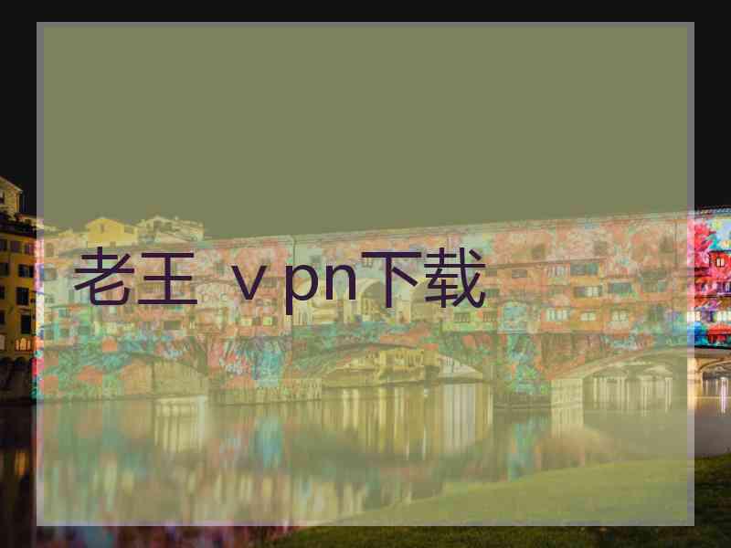 老王 ⅴpn下载