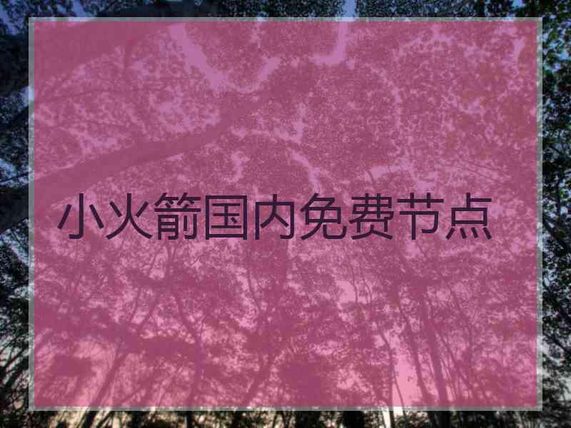 小火箭国内免费节点