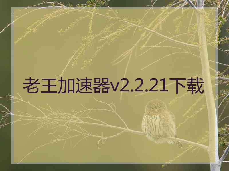 老王加速器v2.2.21下载