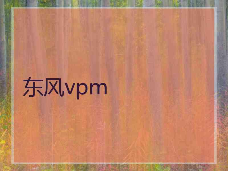 东风vpm