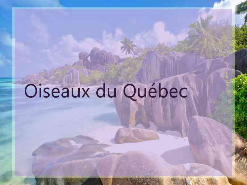 Oiseaux du Québec