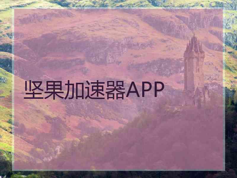 坚果加速器APP