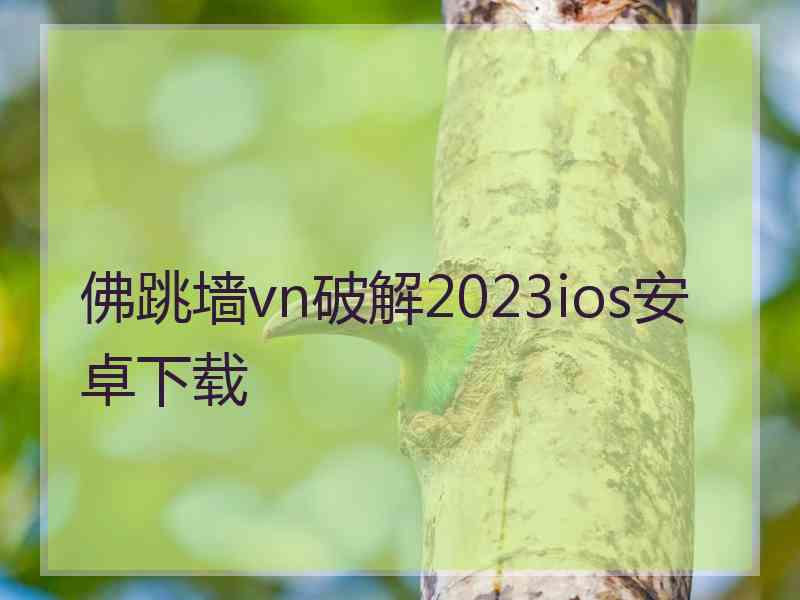 佛跳墙vn破解2023ios安卓下载