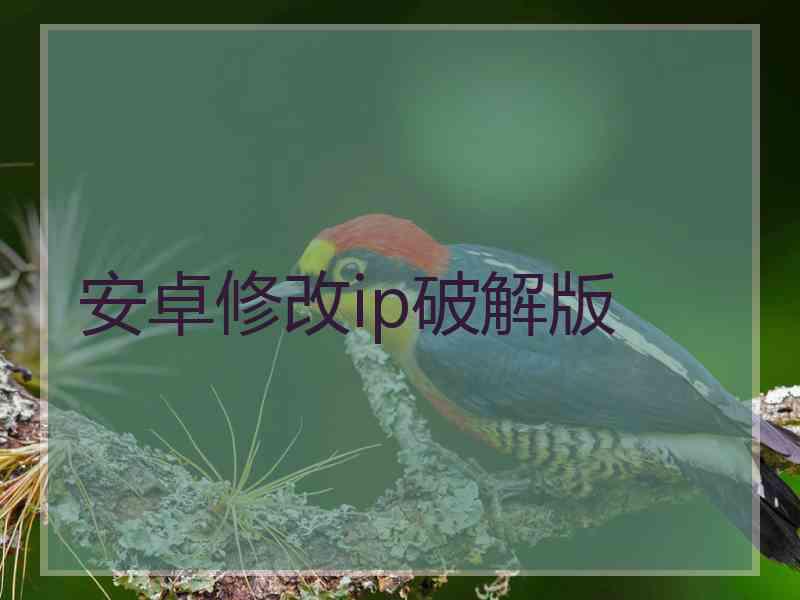 安卓修改ip破解版