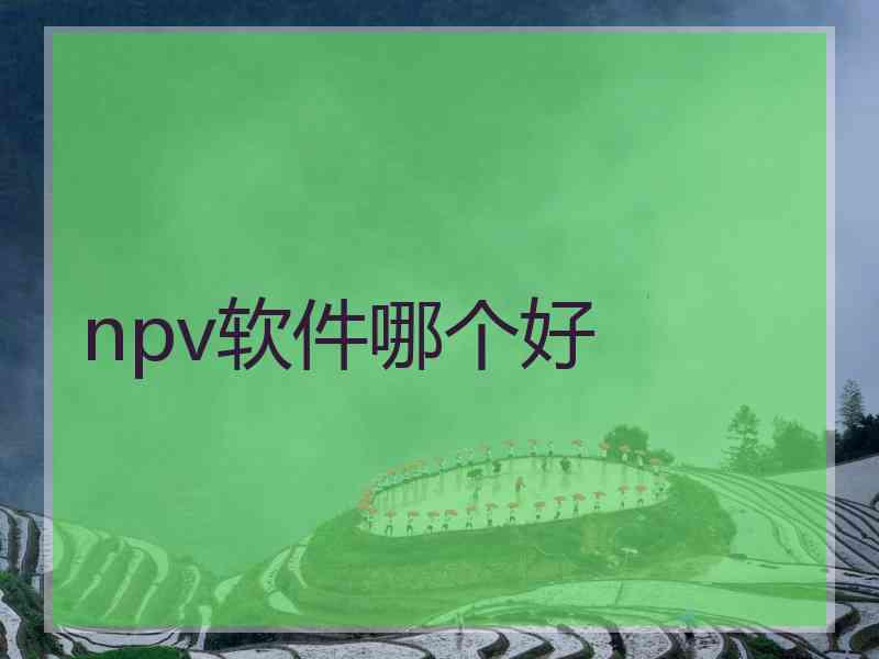 npv软件哪个好