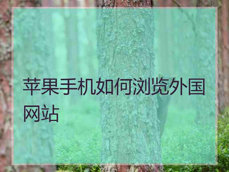苹果手机如何浏览外国网站