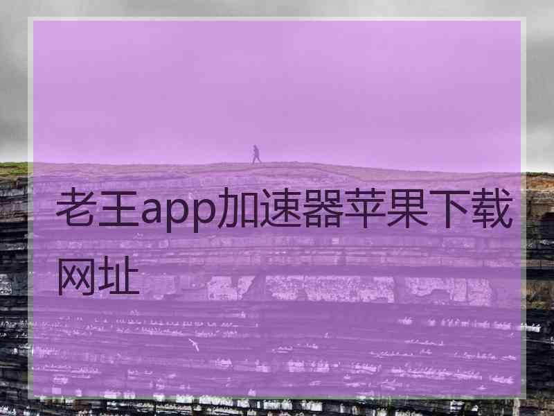 老王app加速器苹果下载网址