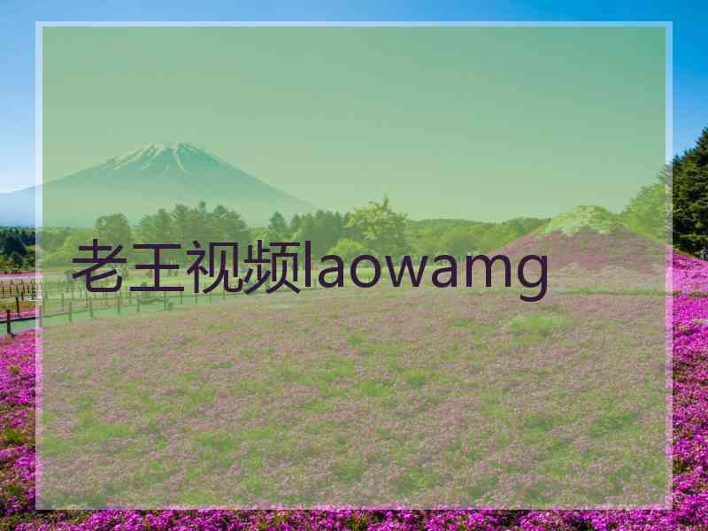 老王视频laowamg