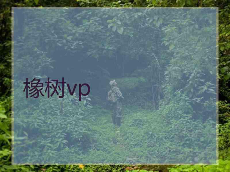 橡树vp