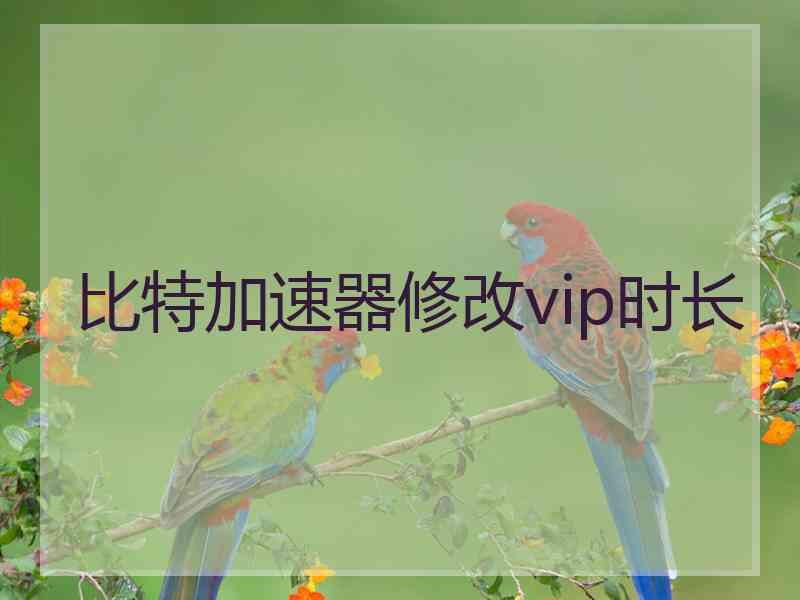 比特加速器修改vip时长