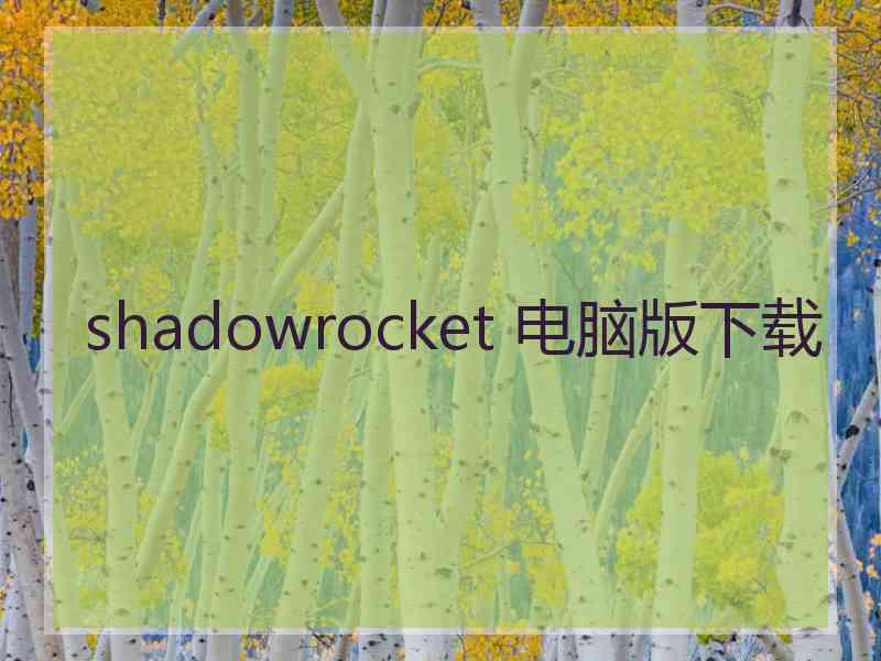 shadowrocket 电脑版下载