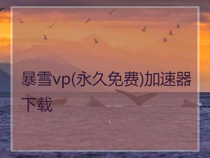 暴雪vp(永久免费)加速器下载