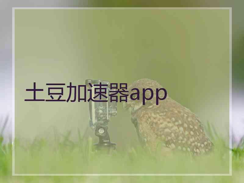 土豆加速器app