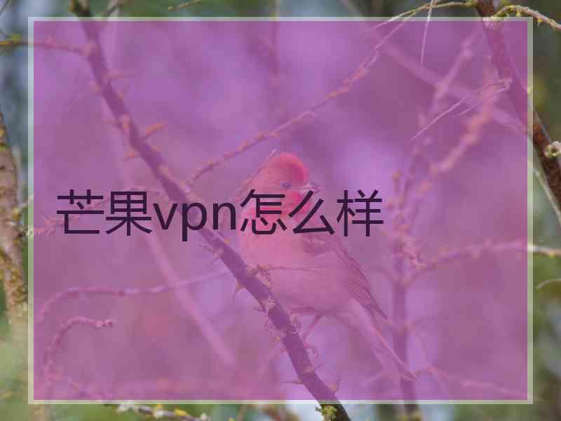 芒果vpn怎么样