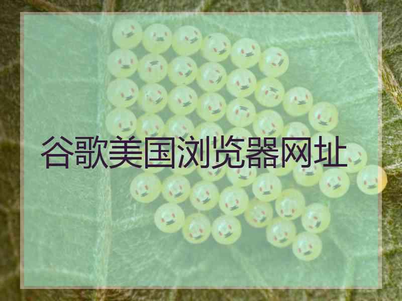 谷歌美国浏览器网址