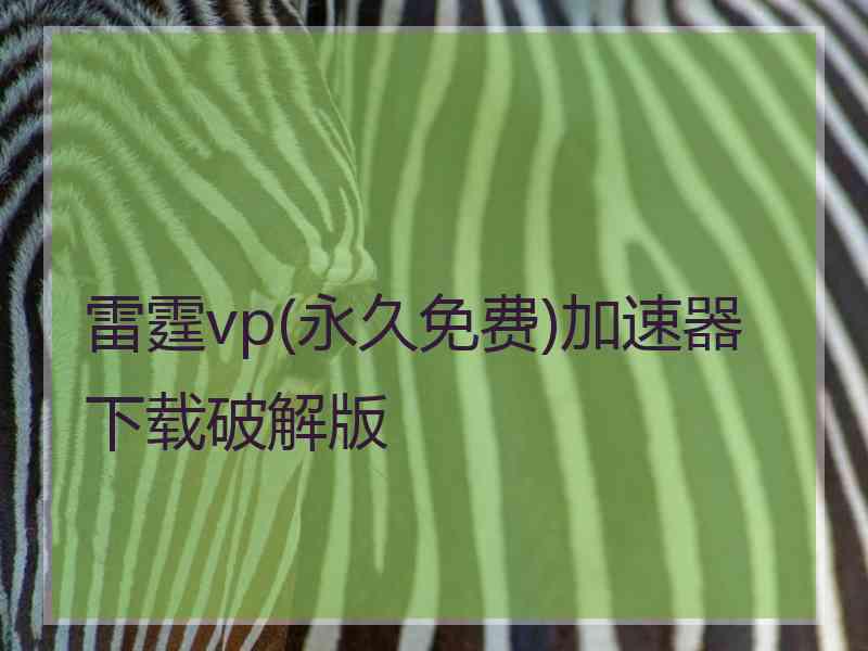 雷霆vp(永久免费)加速器下载破解版