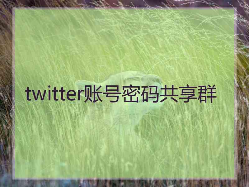 twitter账号密码共享群