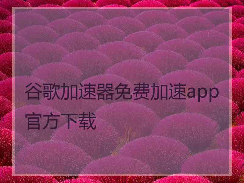 谷歌加速器免费加速app官方下载