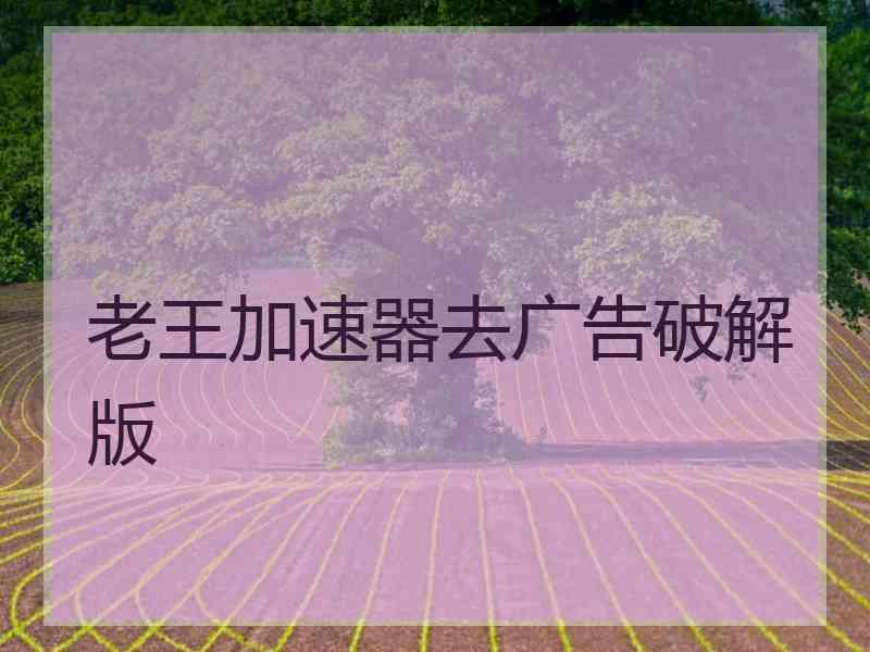 老王加速器去广告破解版