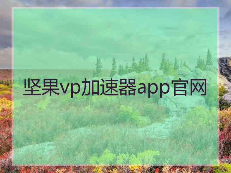 坚果vp加速器app官网