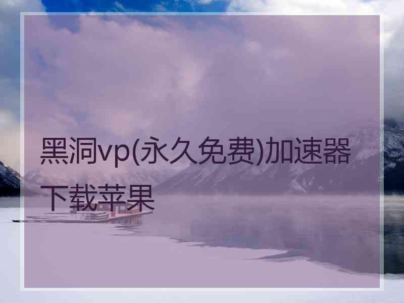 黑洞vp(永久免费)加速器下载苹果