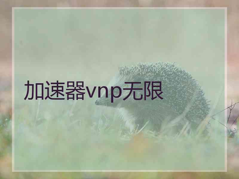 加速器vnp无限