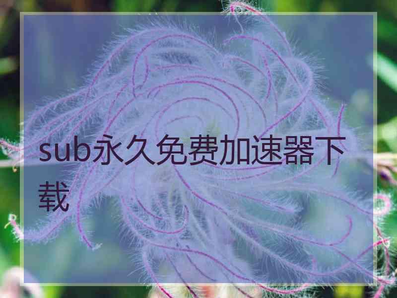 sub永久免费加速器下载