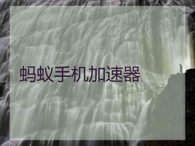 蚂蚁手机加速器