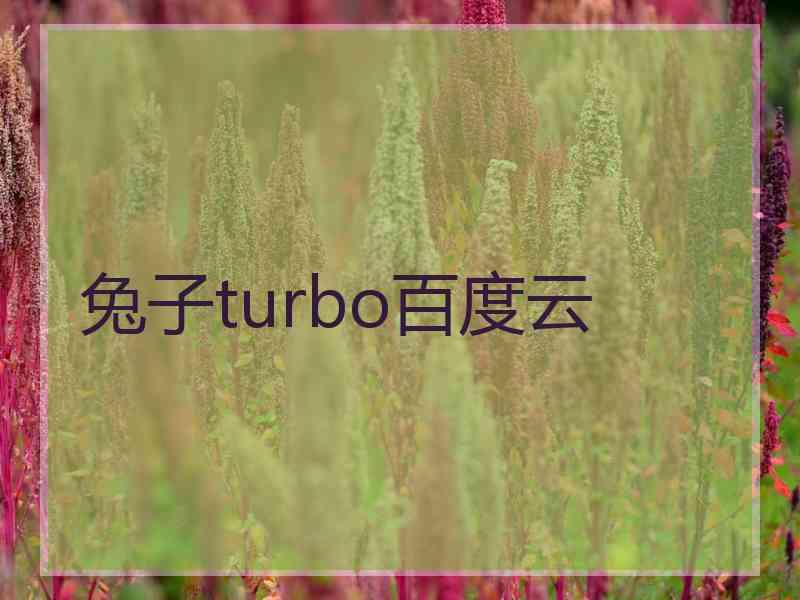 兔子turbo百度云