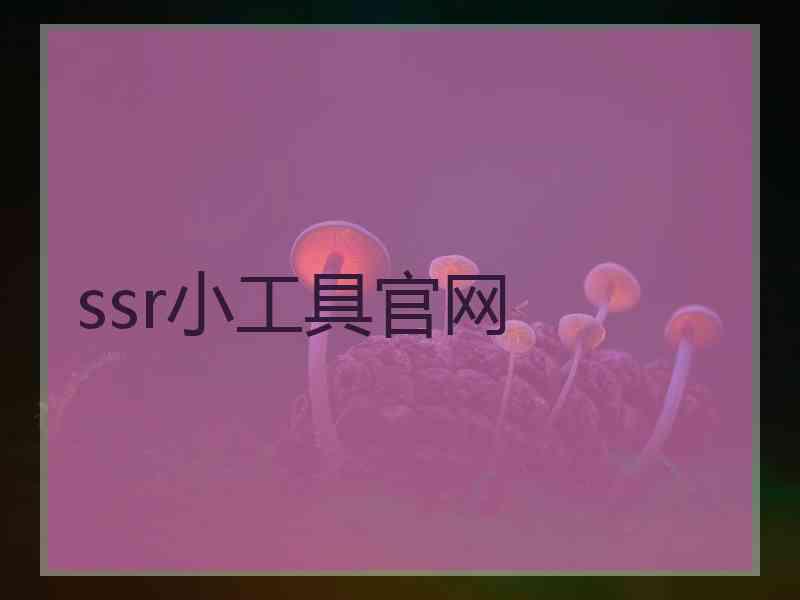 ssr小工具官网