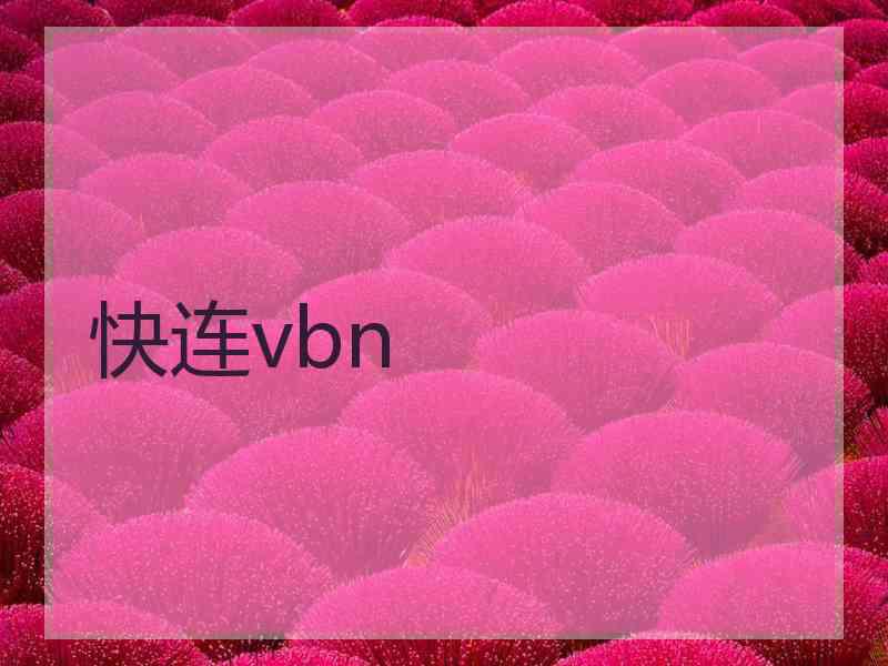 快连vbn