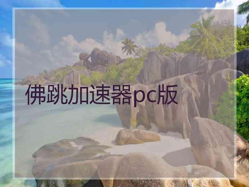 佛跳加速器pc版