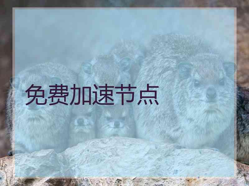 免费加速节点