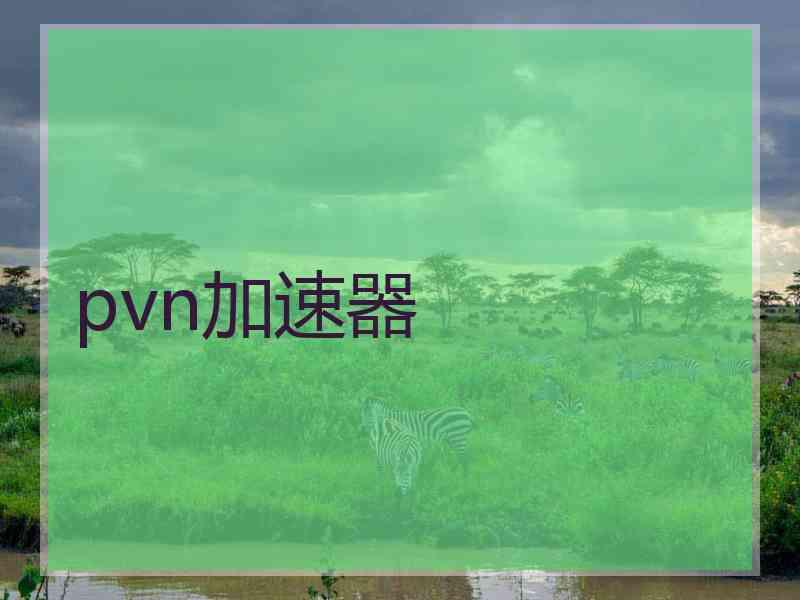 pvn加速器