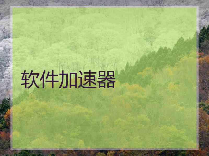 软件加速器