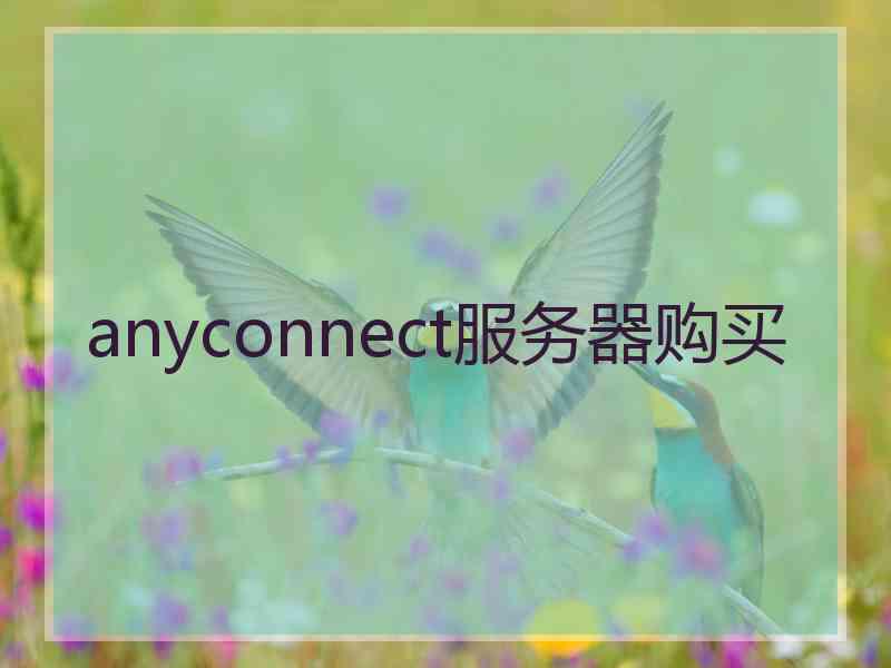 anyconnect服务器购买