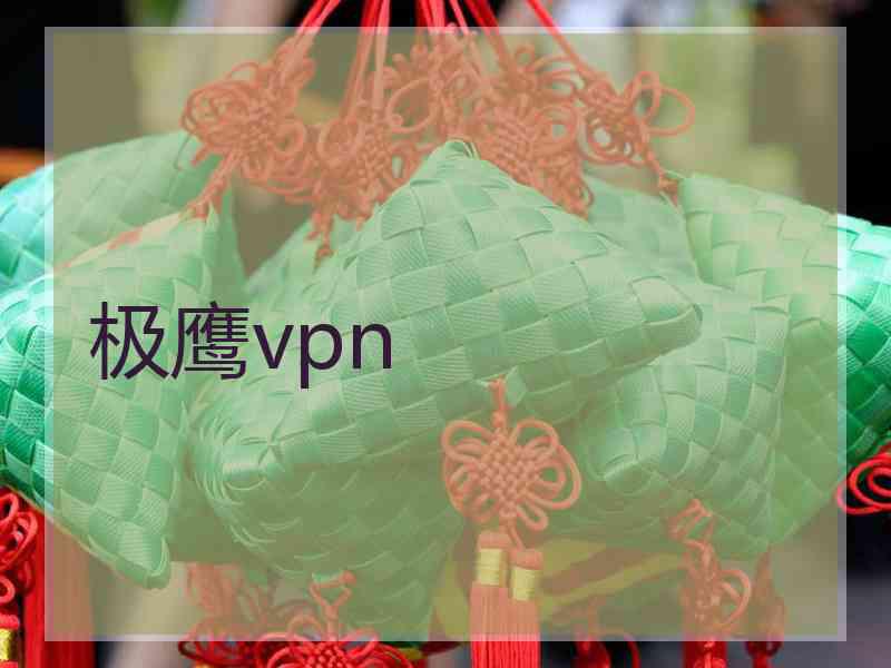 极鹰vpn