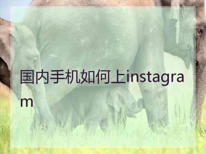 国内手机如何上instagram