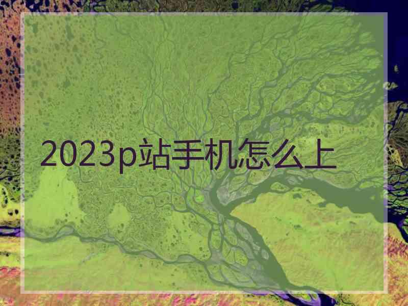 2023p站手机怎么上