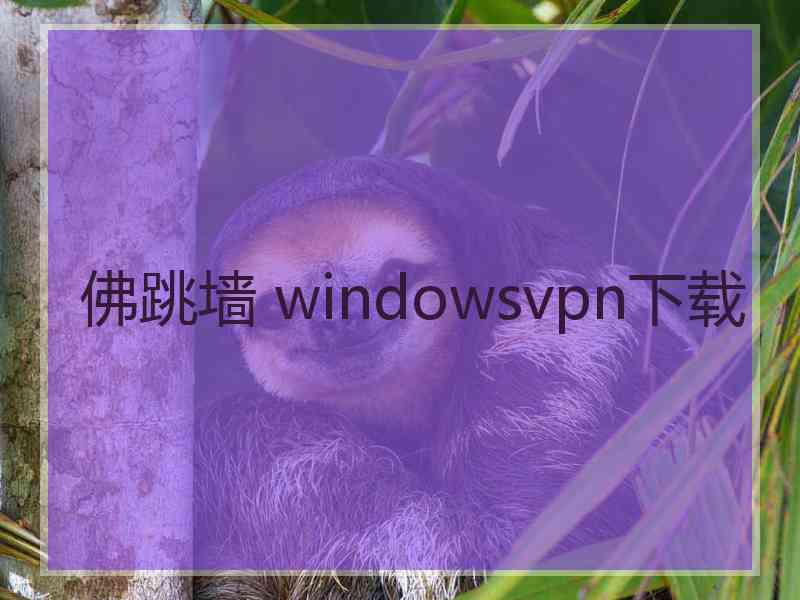 佛跳墙 windowsvpn下载