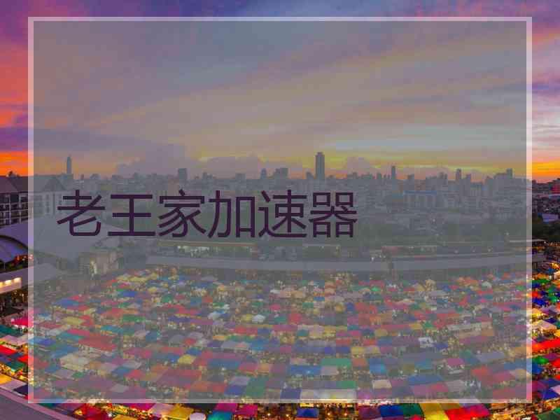老王家加速器