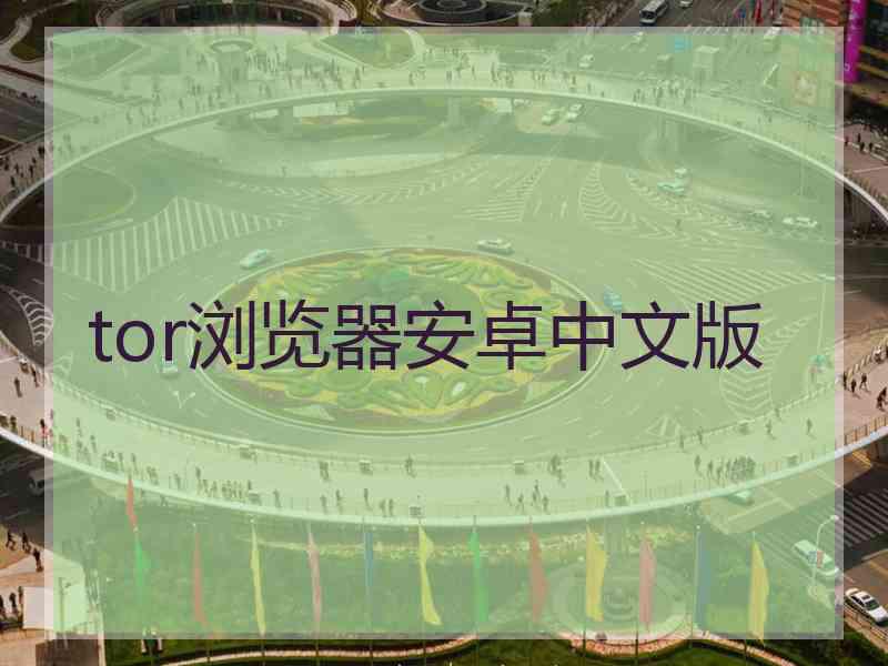 tor浏览器安卓中文版