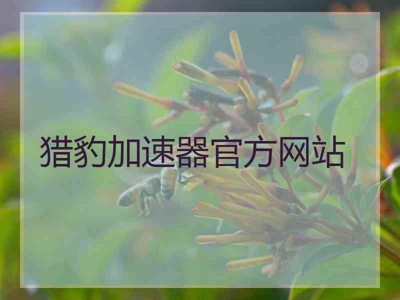 猎豹加速器官方网站