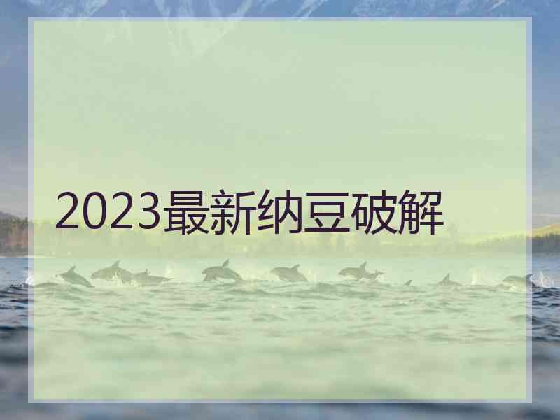 2023最新纳豆破解