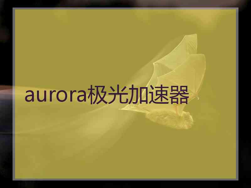 aurora极光加速器