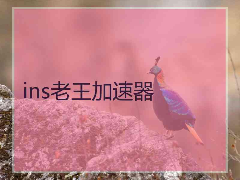 ins老王加速器