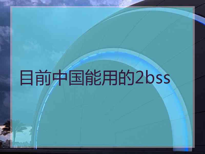 目前中国能用的2bss