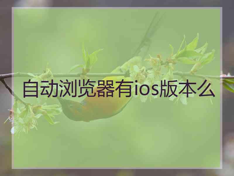 自动浏览器有ios版本么