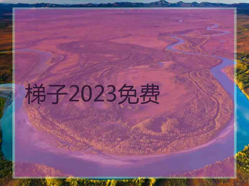 梯子2023免费