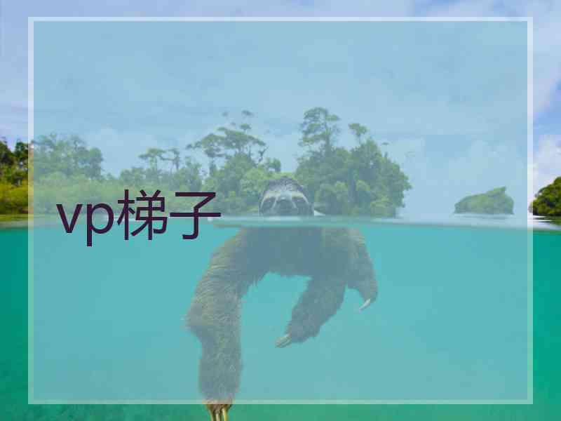 vp梯子